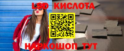 шишки Можга