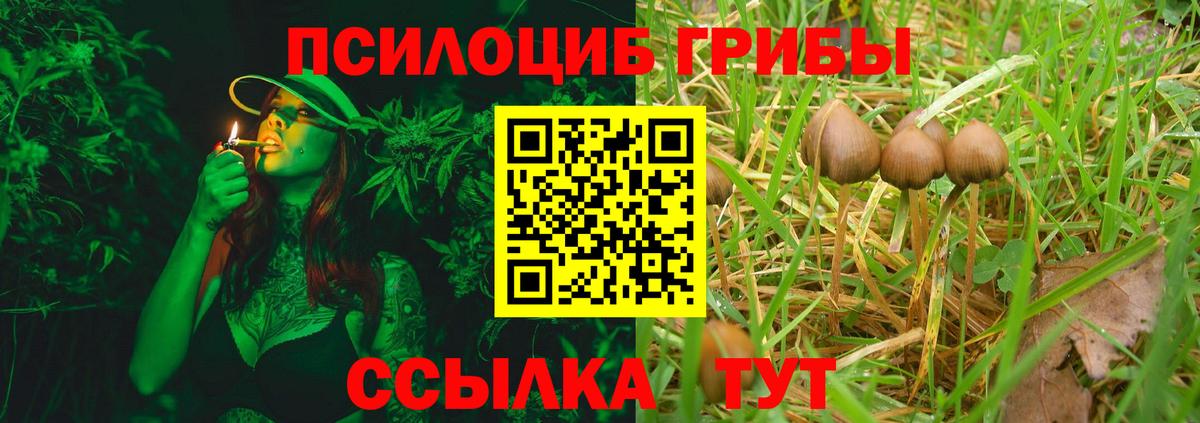 Галлюциногенные грибы мухоморы  Вход с VPN  Галлюциногенные грибы ЛСД  Фурманов 